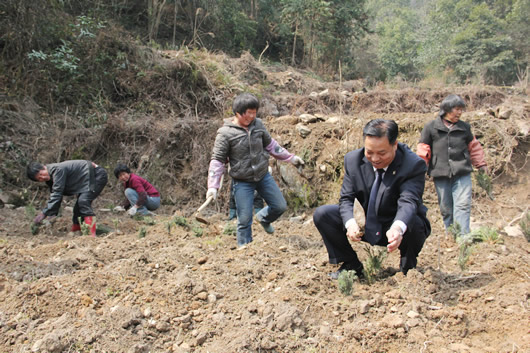 人民電器,人民電器集團,中國人民電器集團